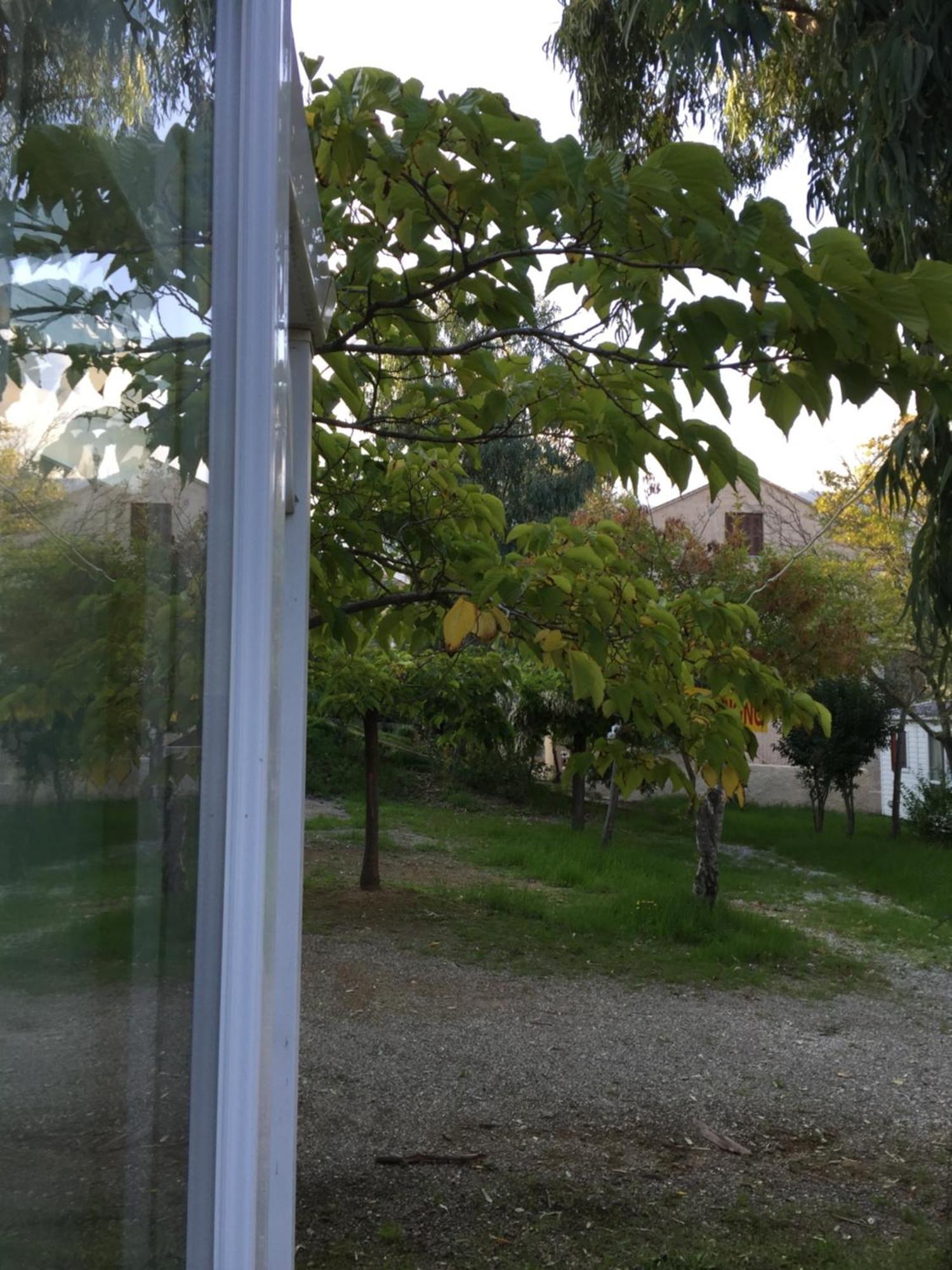 Camping Les Orangers San-Martino-di-Lota Pokoj fotografie