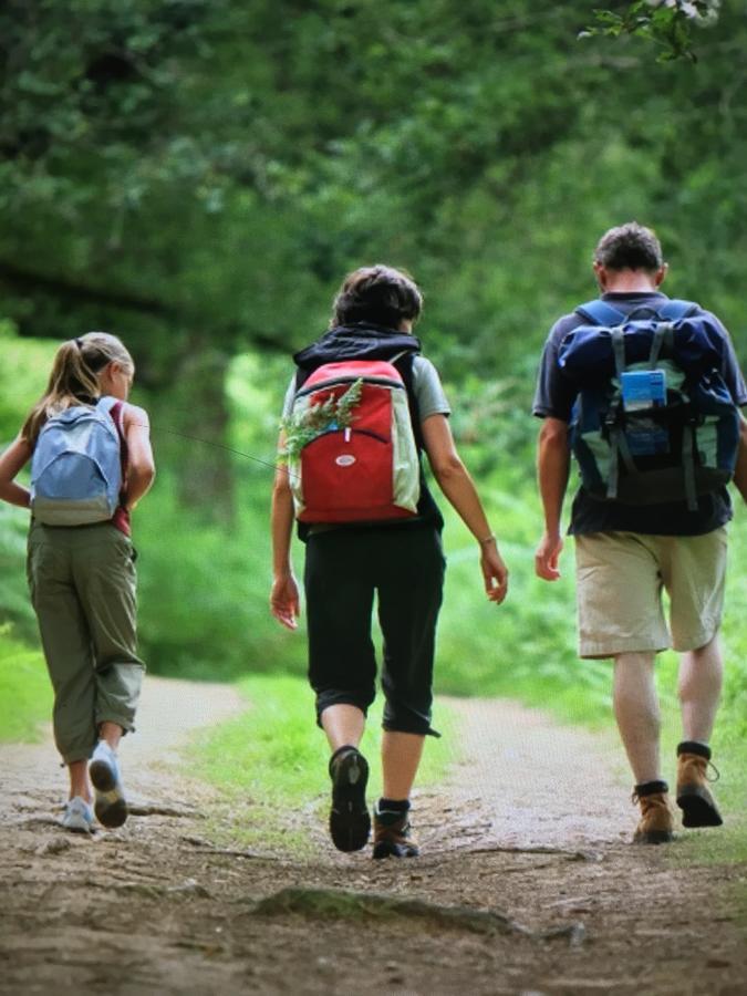 Camping Les Orangers San-Martino-di-Lota Exteriér fotografie